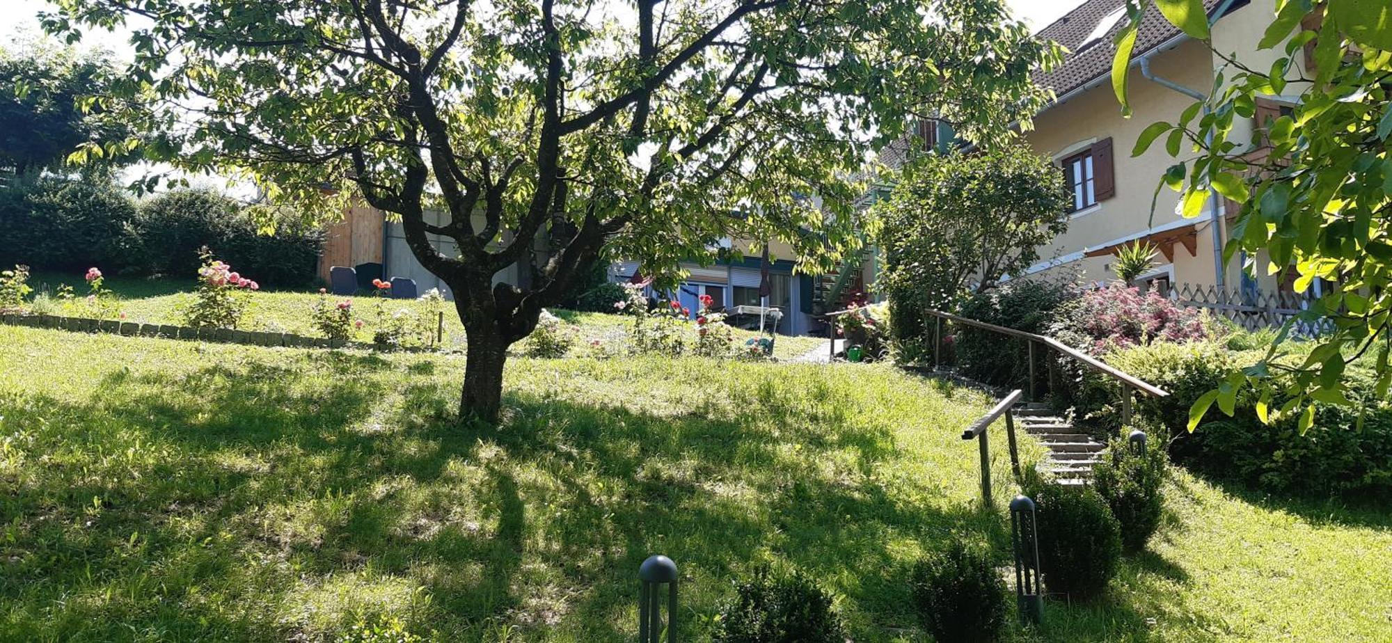 Ferienwohnungen Soravia Gamlitz Exterior foto